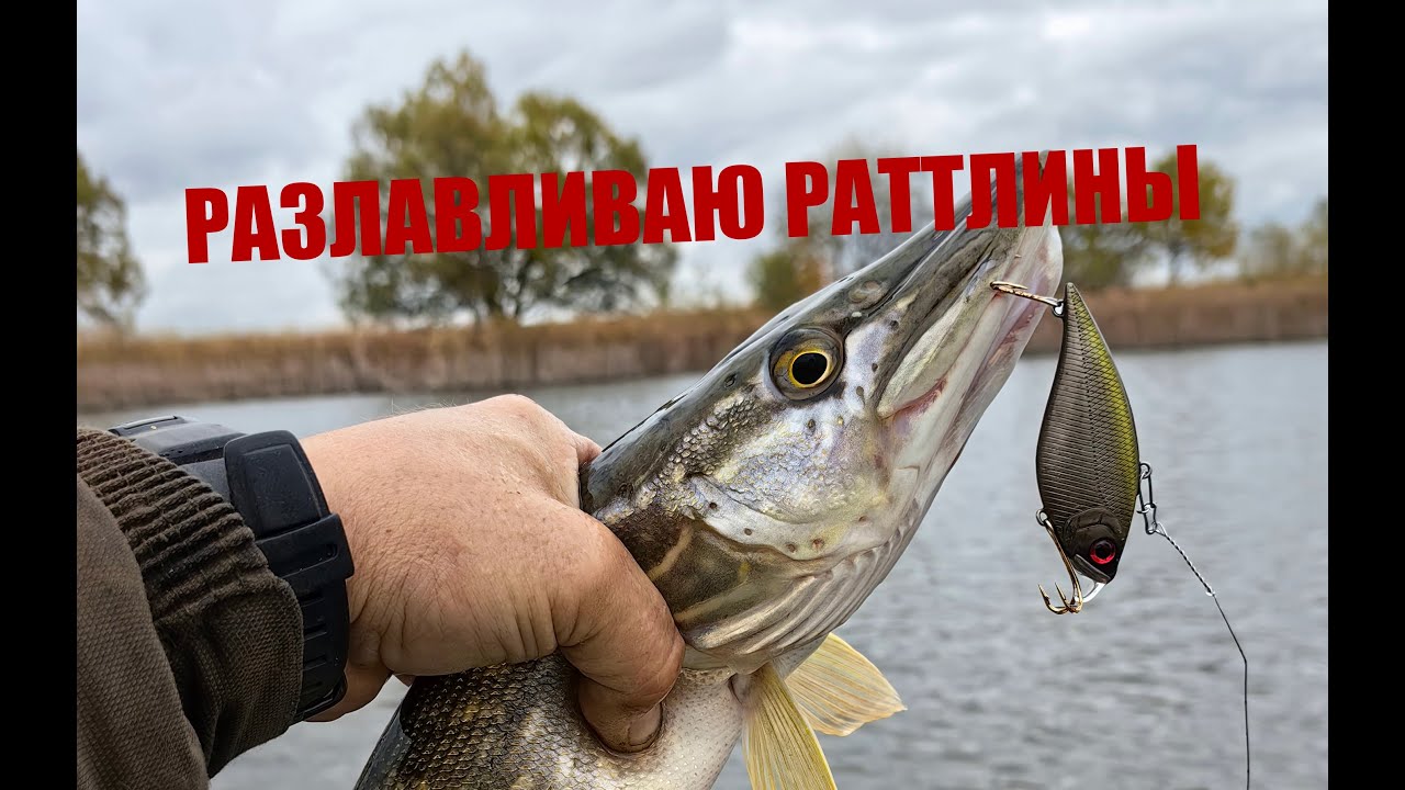 ЩУКА КЛЮЕТ ТОЛЬКО НА ЭТИ РАТТЛИНЫ!!!