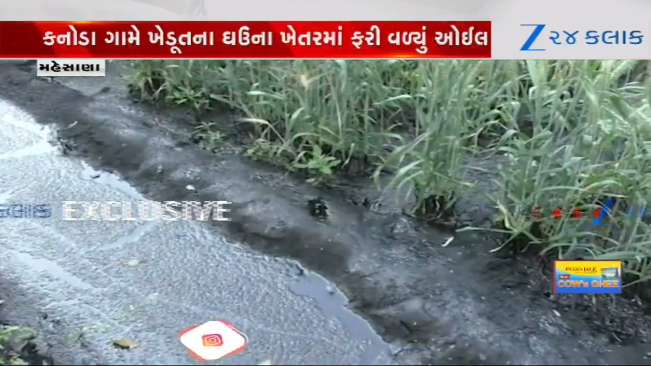 Mehsana: બહુચરાજીના કનોડામાં ONGCની પાઇપલાઇન લીકેજ; ખેડૂતના ઘઉંના ખેતરમાં ફરી વળ્યું ક્રૂડ ઓઇલ