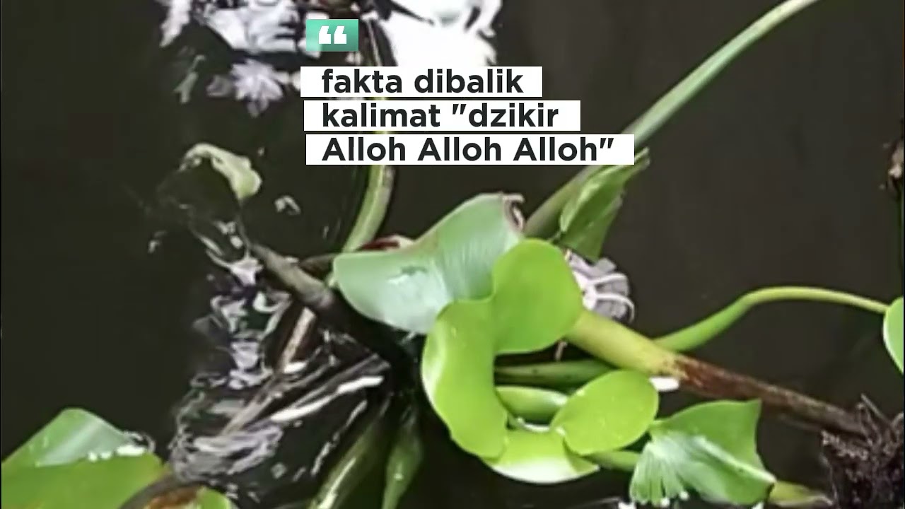 Menata hati untuk meraih ridho ilahi.