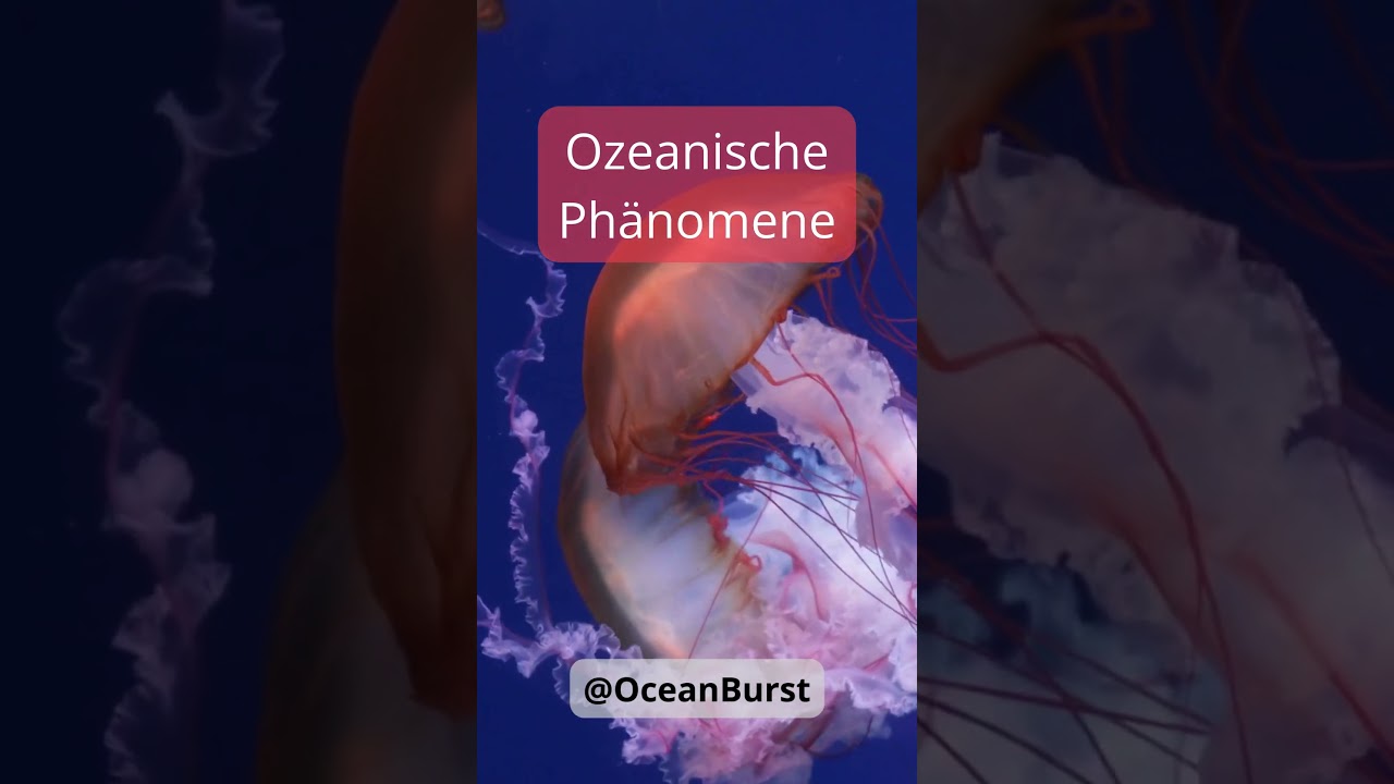 5 Unglaubliche Ozeanische Ph&auml;nomene, die du sehen musst! 🌊✨ #meeresleben