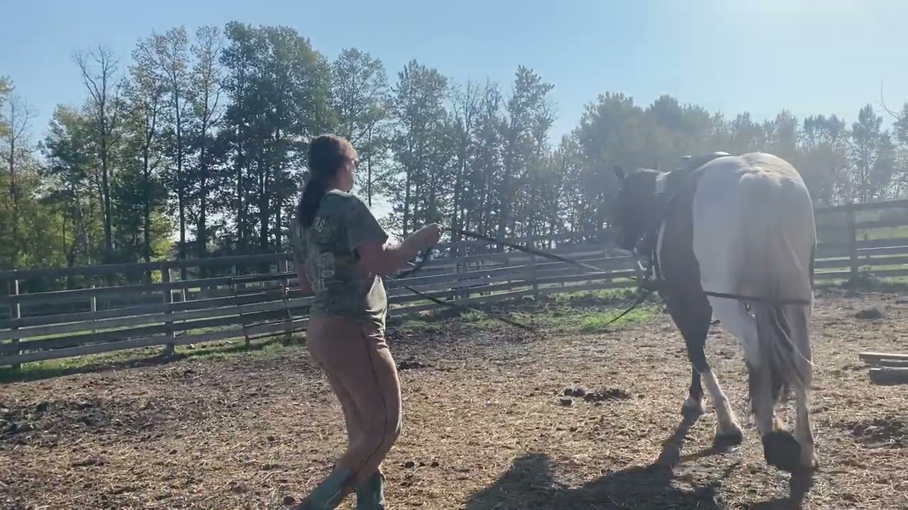Titans first saddle and sit sept ‘25