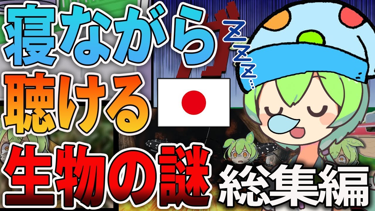 【総集編】夜眠る前に聴きたい生物の謎5選【ずんだもん＆ゆっくり解説】
