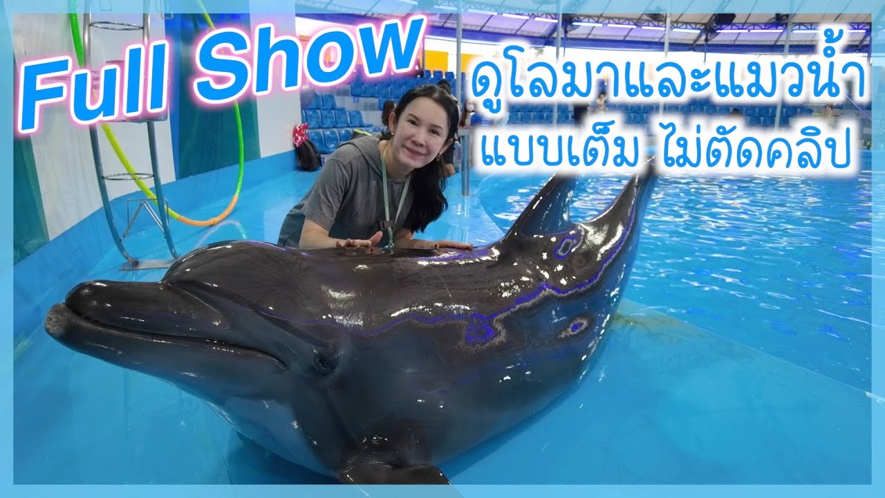 Full Show ดูโชว์โลมาและแมวน้ำแบบเต็มไม่ตัดคลิป ที่ Pattaya Dolphinarium | Boe Hope So