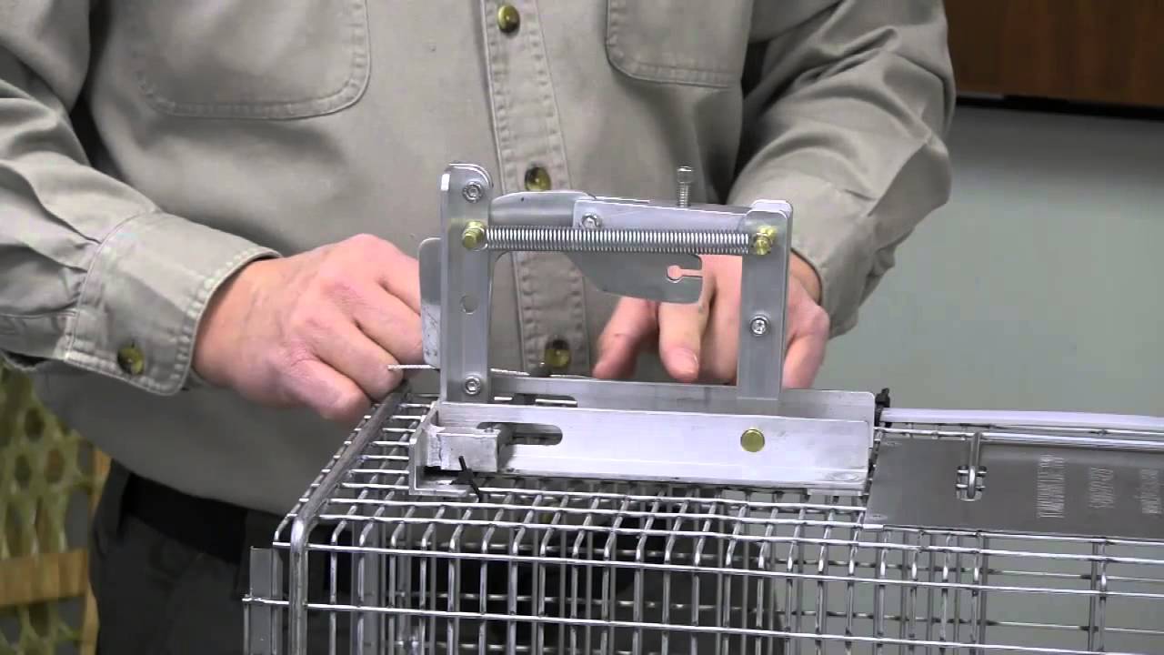 The Posi-Trigger for Cage Traps