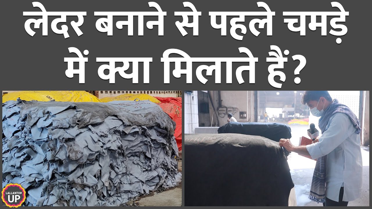 चमड़े में ये चीज़ न डालें तो सारा लेदर बिकना बंद हो जाएगा | Leather making process