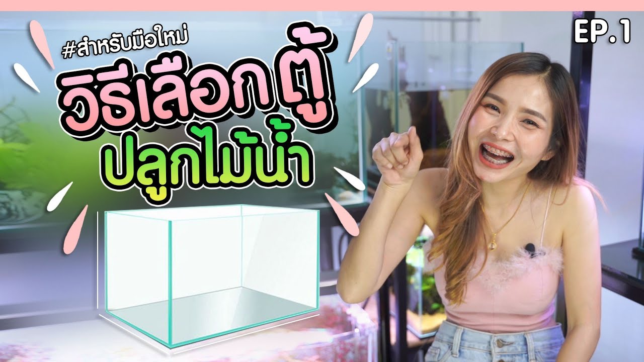 วิธีเลือกตู้ เลี้ยงไม้น้ำ สำหรับมือใหม่ | MarangMod Channel