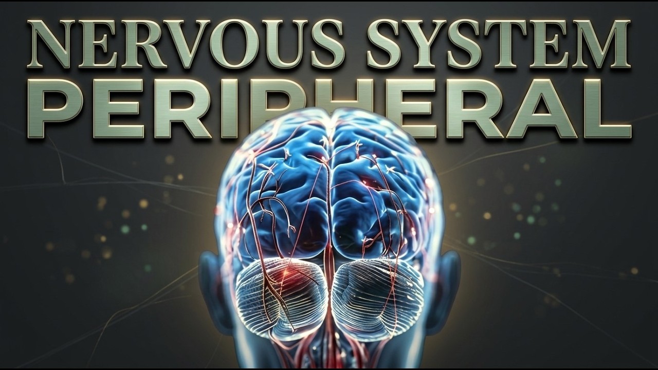 🌳 Schwann Cell Remyelination | Peripheral Nervous System (Morphic Energetic Field)