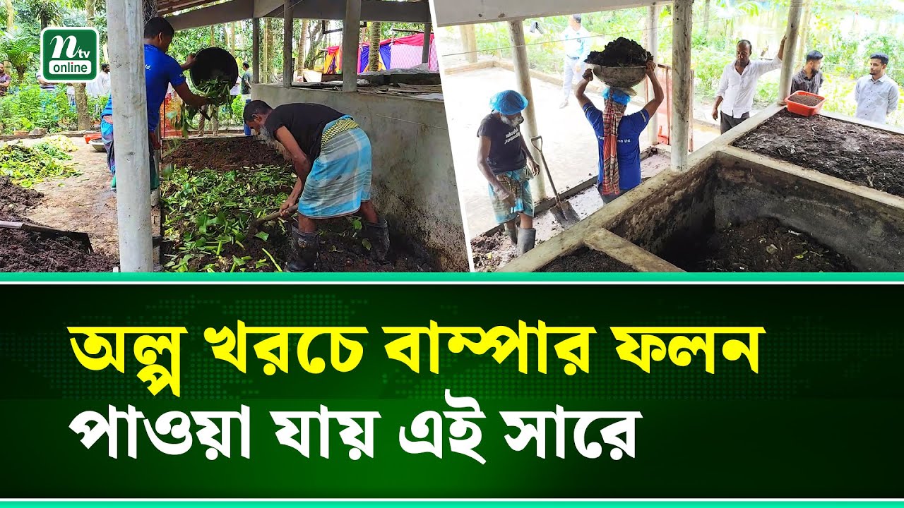 পরিবেশবান্ধব ট্রাইকো কম্পোস্ট সার উৎপাদন করে মাসে আয় লাখ টাকা | Bhola | NTV News