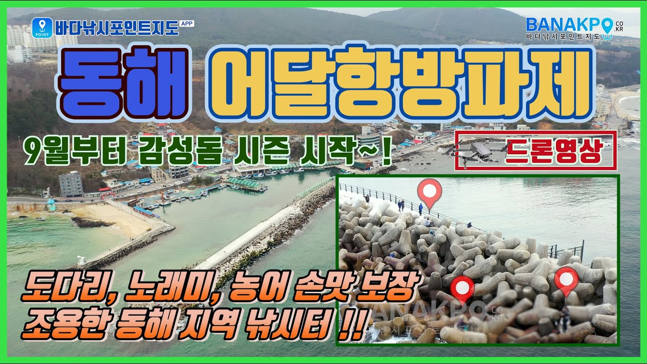 강원도 동해시 어달항 방파제 도다리, 노래미, 농어 손맛 보장~!