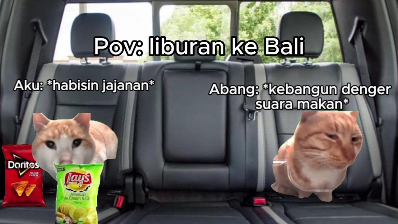 Pov: liburan ke Bali (1) | Meme Kucing | 