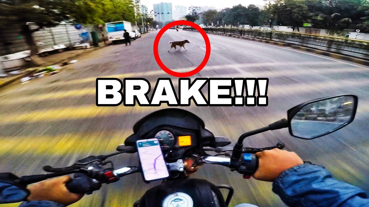 Suddenly Dog in Front of My Bike 😱
