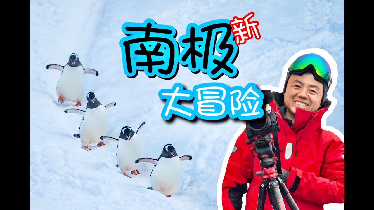 【彩蜂】南极大冒险—4K高清镜头下的世界尽头
