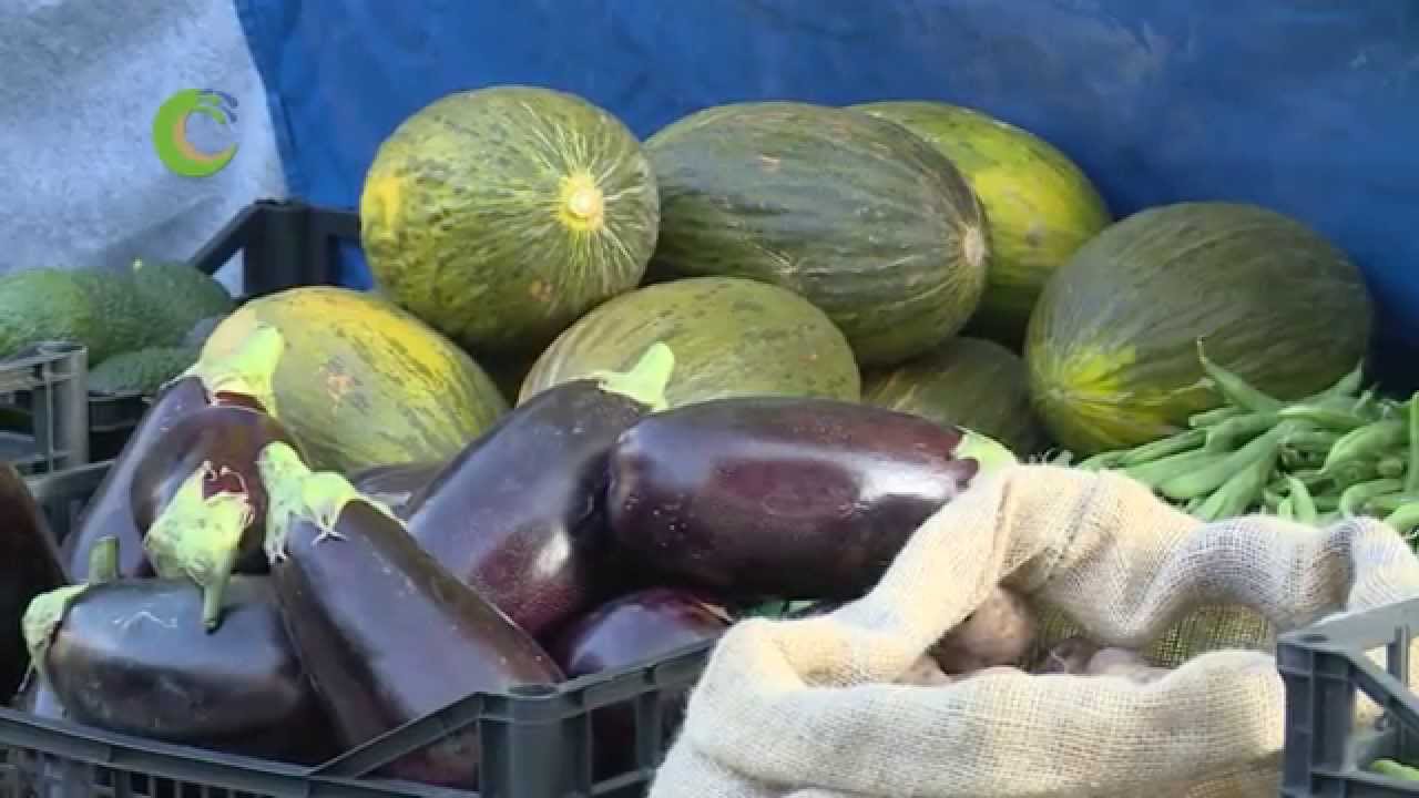 MERCADILLO PLAYA SAN JUAN