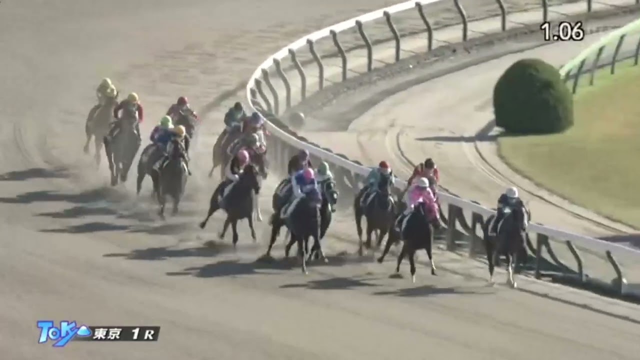 Derby Contenders Luxor Cafe, Admire Daytona Duel in 1600m  Maiden Race - Tokyo Racetrack - 11/23/24