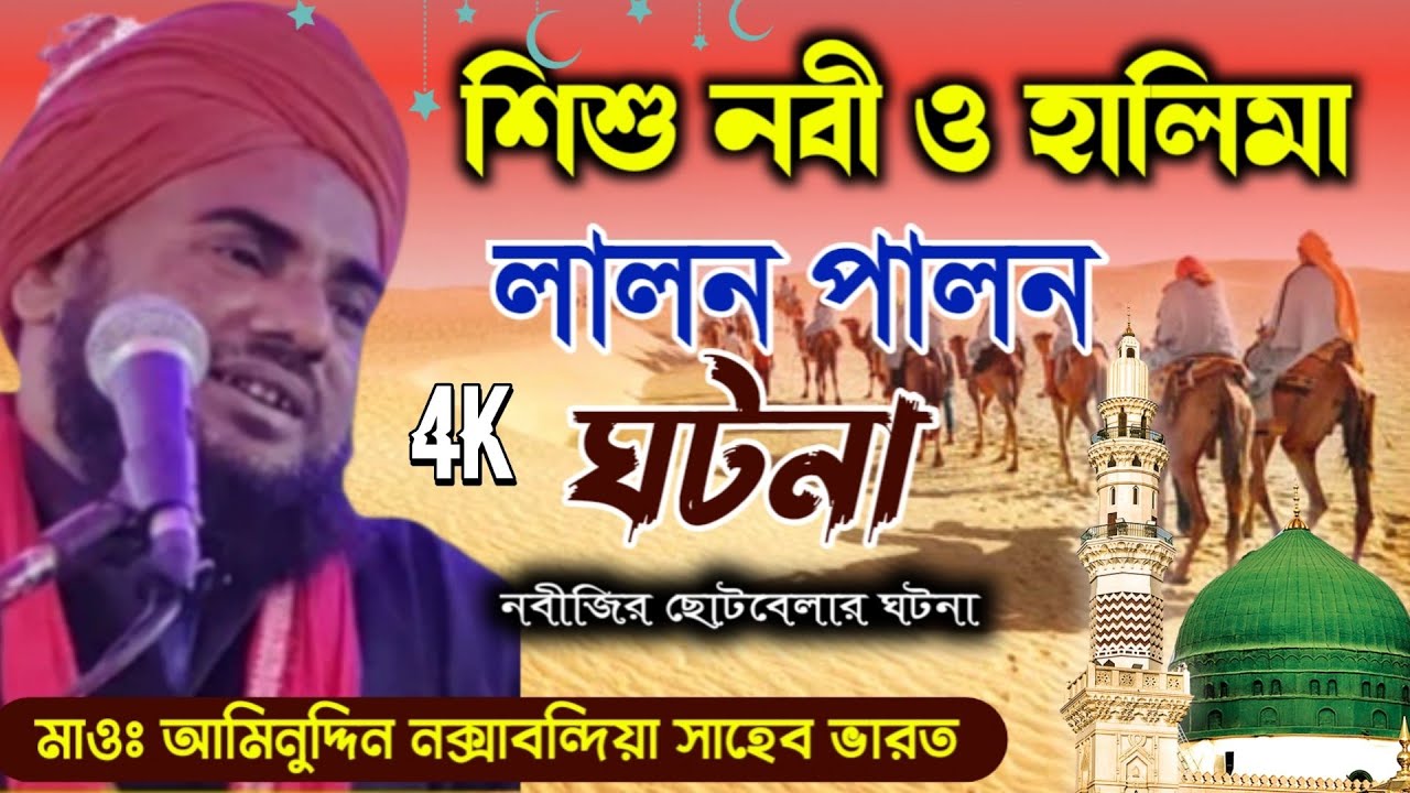 Maolana Aminuddin Sahab waz||New Video waz | শিশু নবী ও হালিমা লালন পালন এর ঘটনা|| আমিনুদ্দিন সাহেব