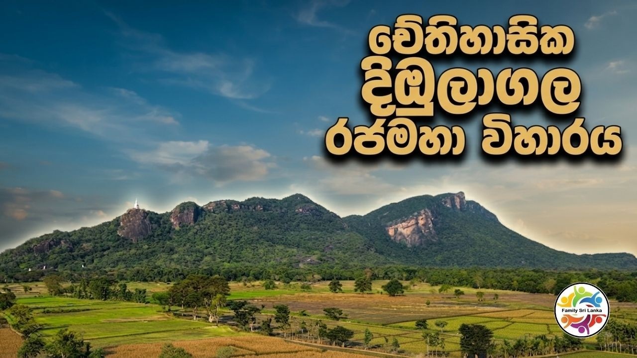 ඓතිහාසික නාමල් පොකුණ රජමහා විහාරය, දිඹුලාගල 🇱🇰 Historical Dimbulagala Namal Pokuna Rajamaha Viharaya