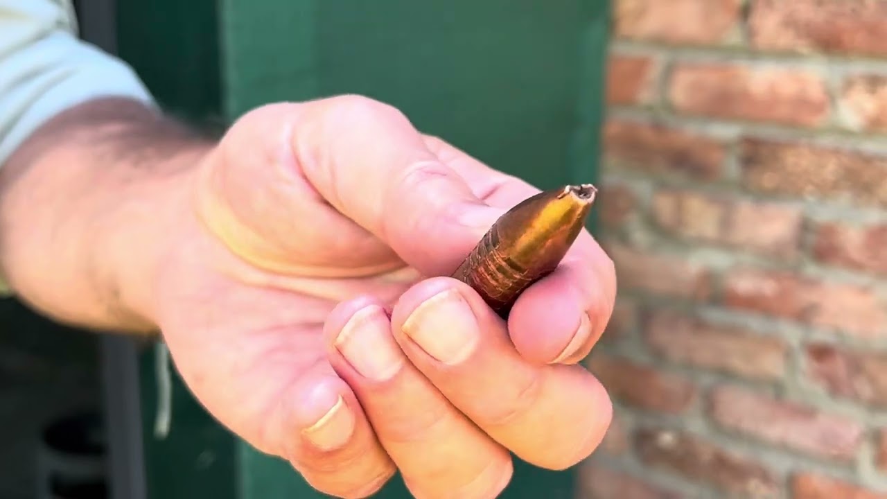 577 NITRO-Barnes Bullets... tale of two bullets and two Cape Buffalo