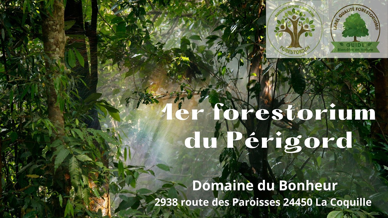 FORESTORIUM