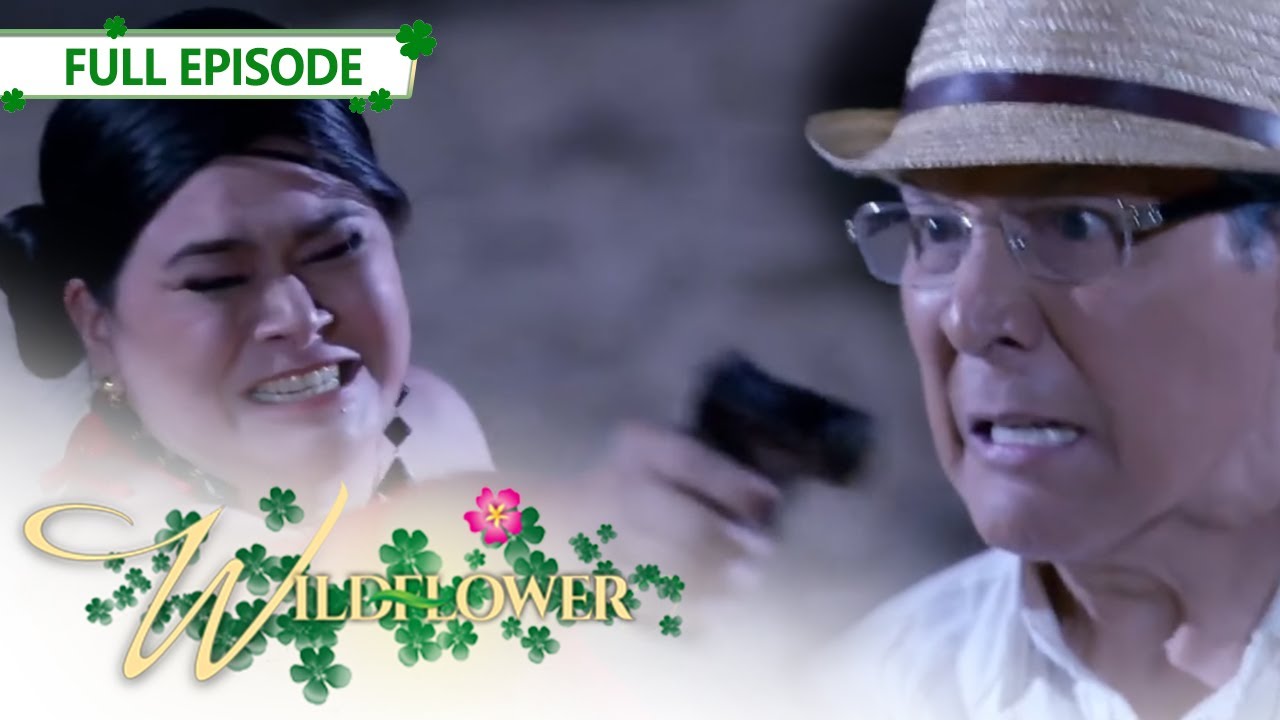 Full Episode 257 | Wildflower with ENG SUB | Maja Salvador, Joseph Marco, RK Bagatsing