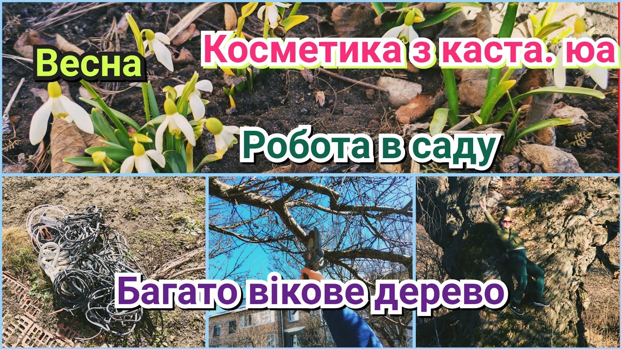 Влог🇺🇦//Їдемо в с. Новосілки🚙//Працюємо в саду😎//Купили шину для 