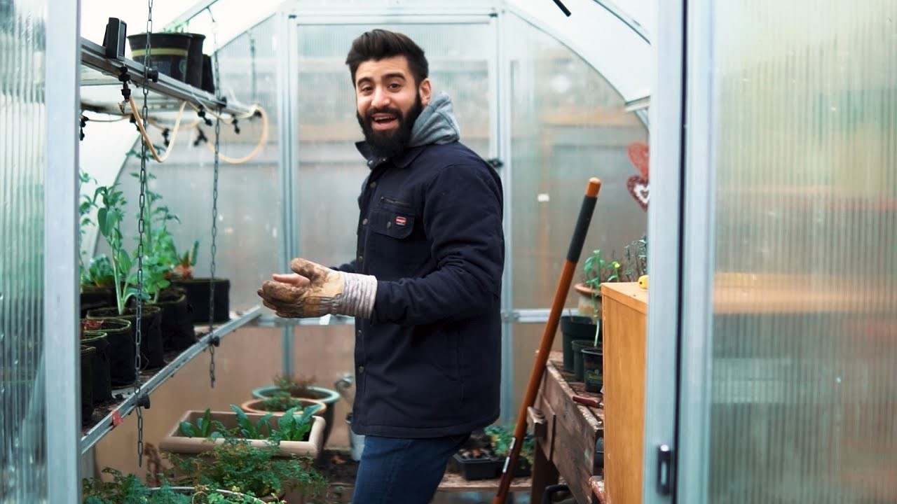 The Ultimate Seed Starting Guide: What to Plant and When