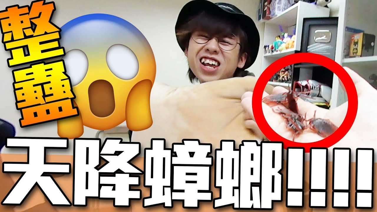 【整蠱】天降大量蟑螂 朋友會有什麼反應？