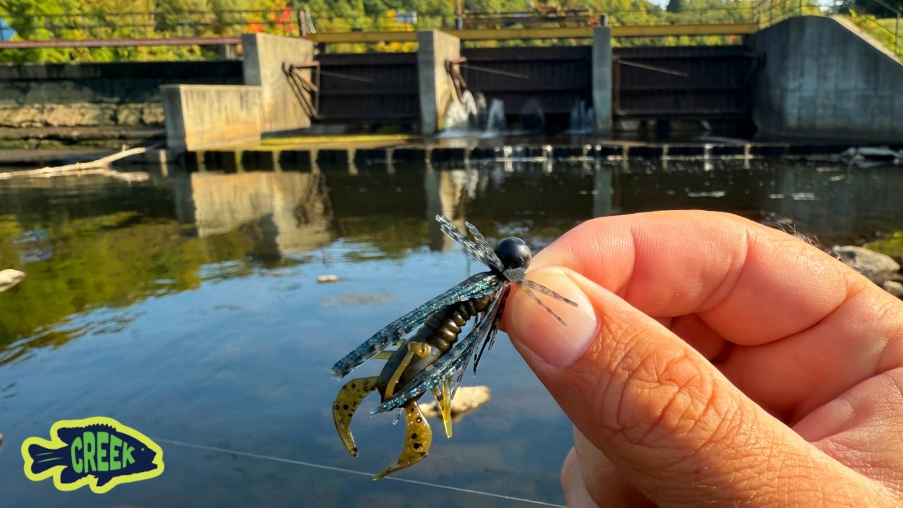 Fishing Micro BFS Jig in Spillway