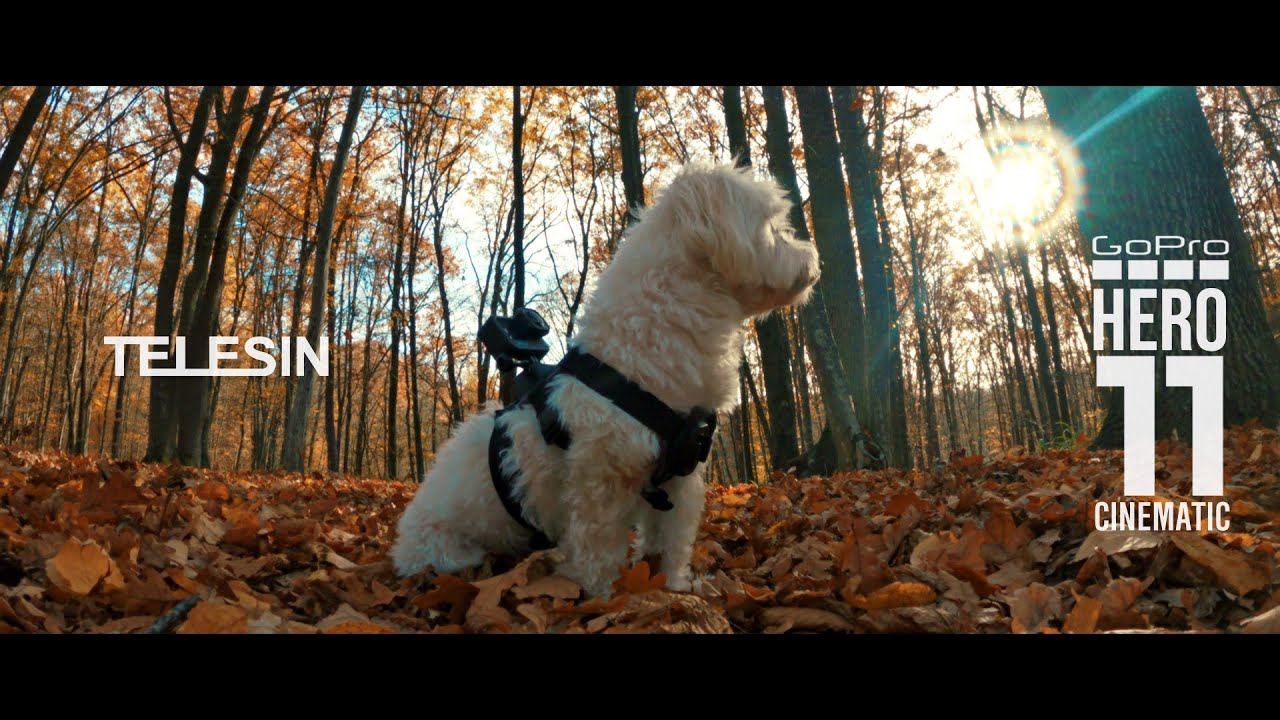 GoPro HERO 11 Accessories | Cinematic Video