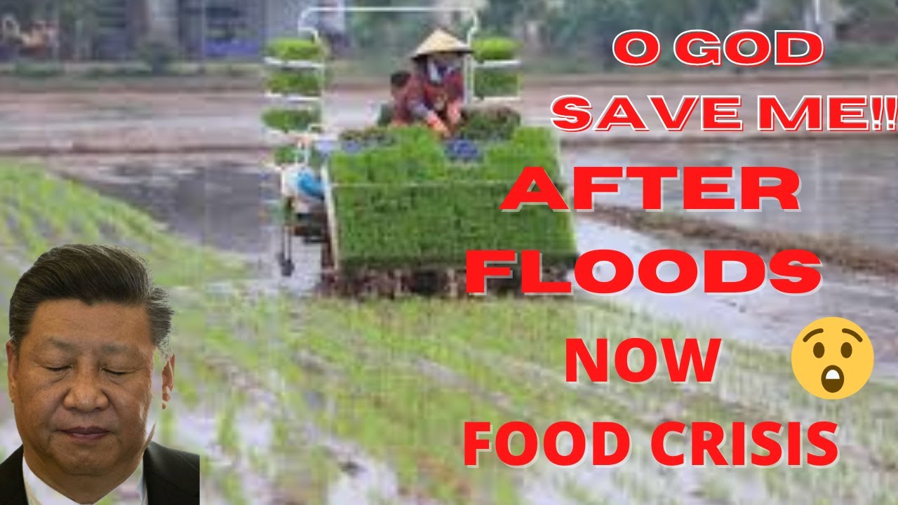 The big food crisis in China, the CCP fears that many people will starve from lack of food