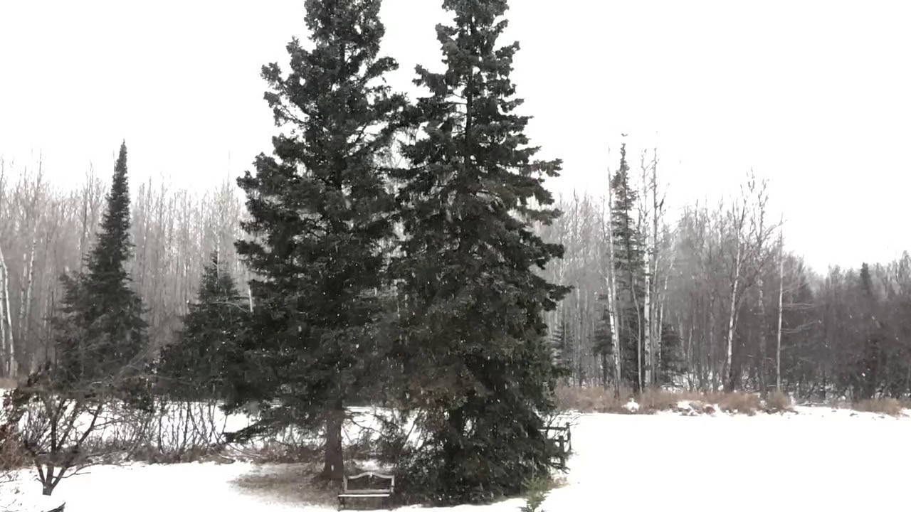 Arrowhead Snow Flurry