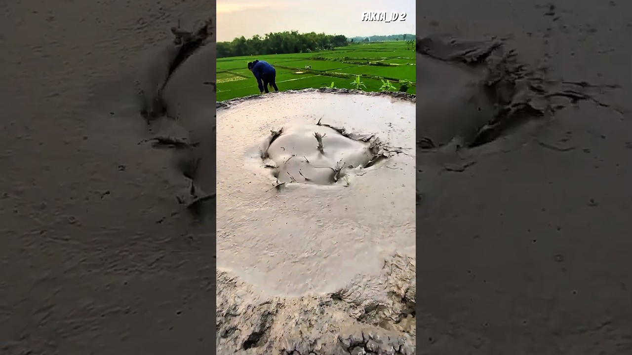 Lumpur lapindo menjadi gunung di persawahan  #gunungmini #lumpurlapindo #vidioviral