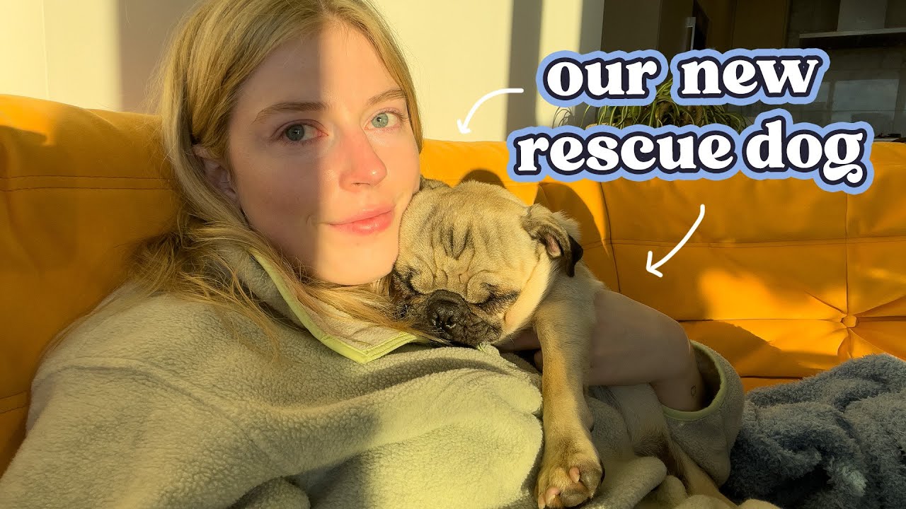 the story of my new rescue dog