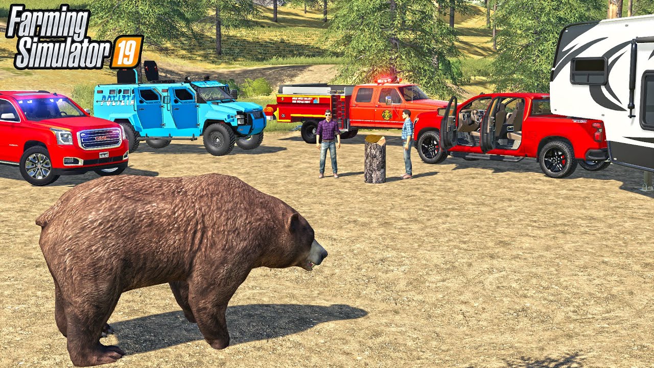 BLACK BEAR 