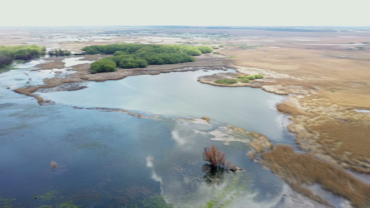 Яськи, Турунчук, аэросъемка / Village Yasky river Turunchuk aerial photography