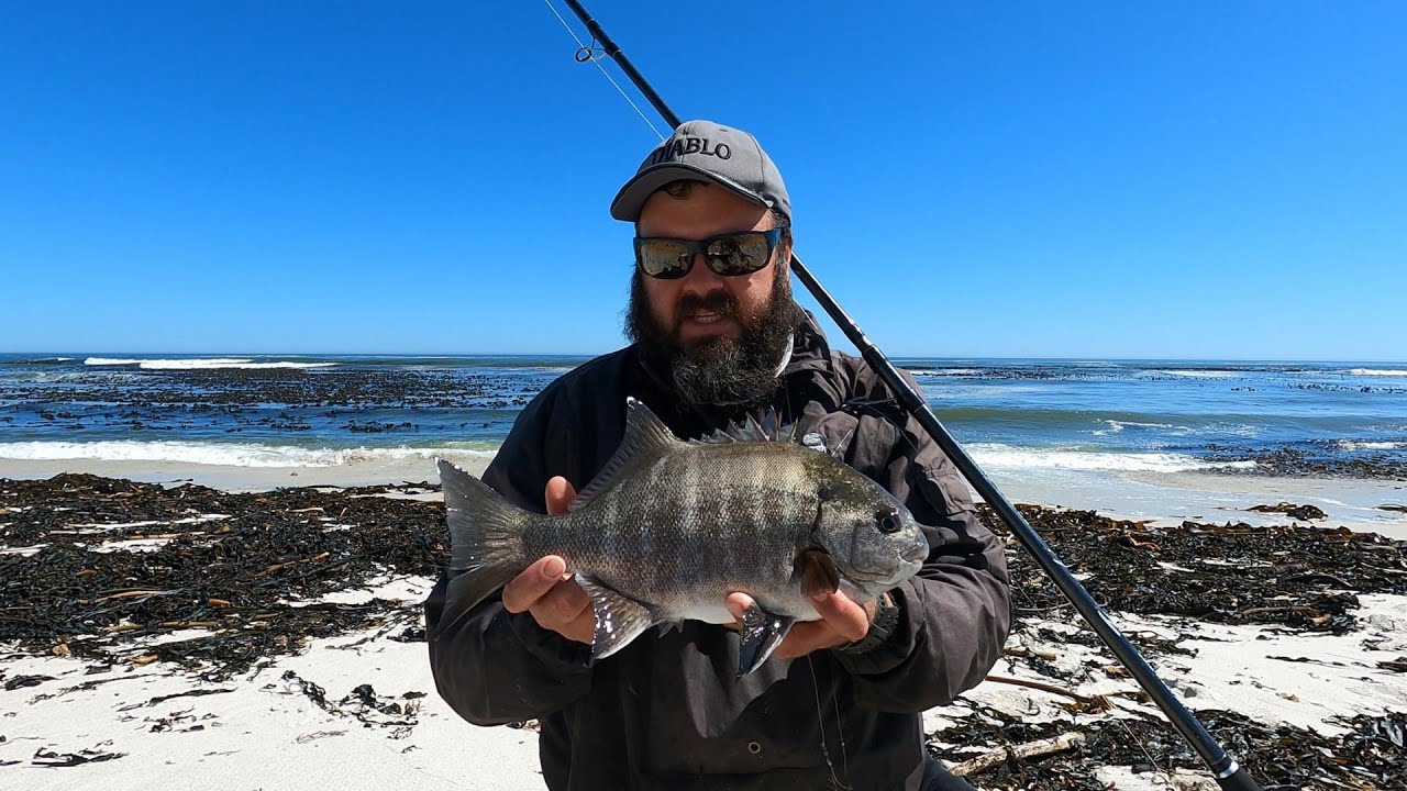 How to: Fishing for Galjoen on the West Coast. Day-2