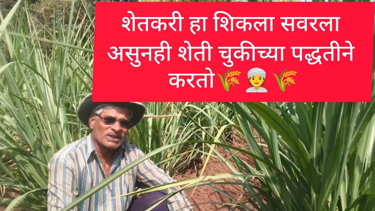शेतकरी हा शीकला सवरला असुनही चुकीच्या पद्धतीने शेती करतो#कृषीमार्गदर्शन #farming #ऊसशेती 