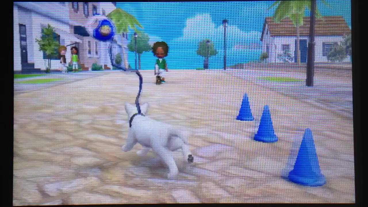 Series 2 - The unwanted beach walk - Nintendogs + cats