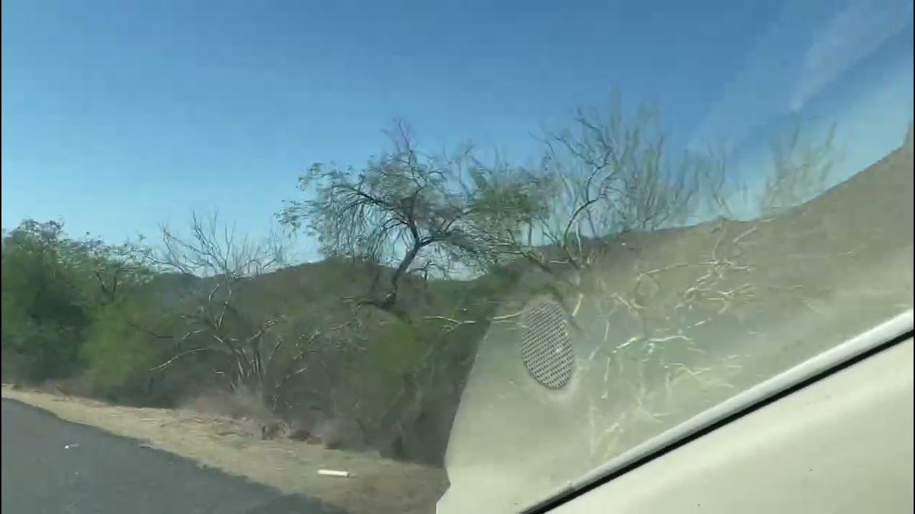 Sonora 🌵