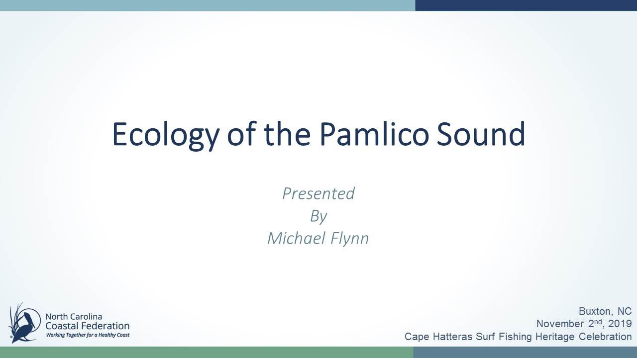 Ecology of the Pamlico Sound with Michael Flynn