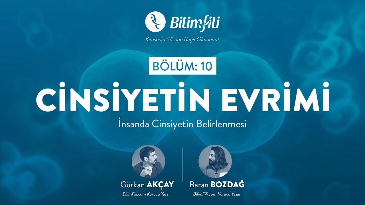 BilimFili Podcast 10: Cinsiyetin Evrimi ve İnsanda Cinsiyetin Belirlenmesi