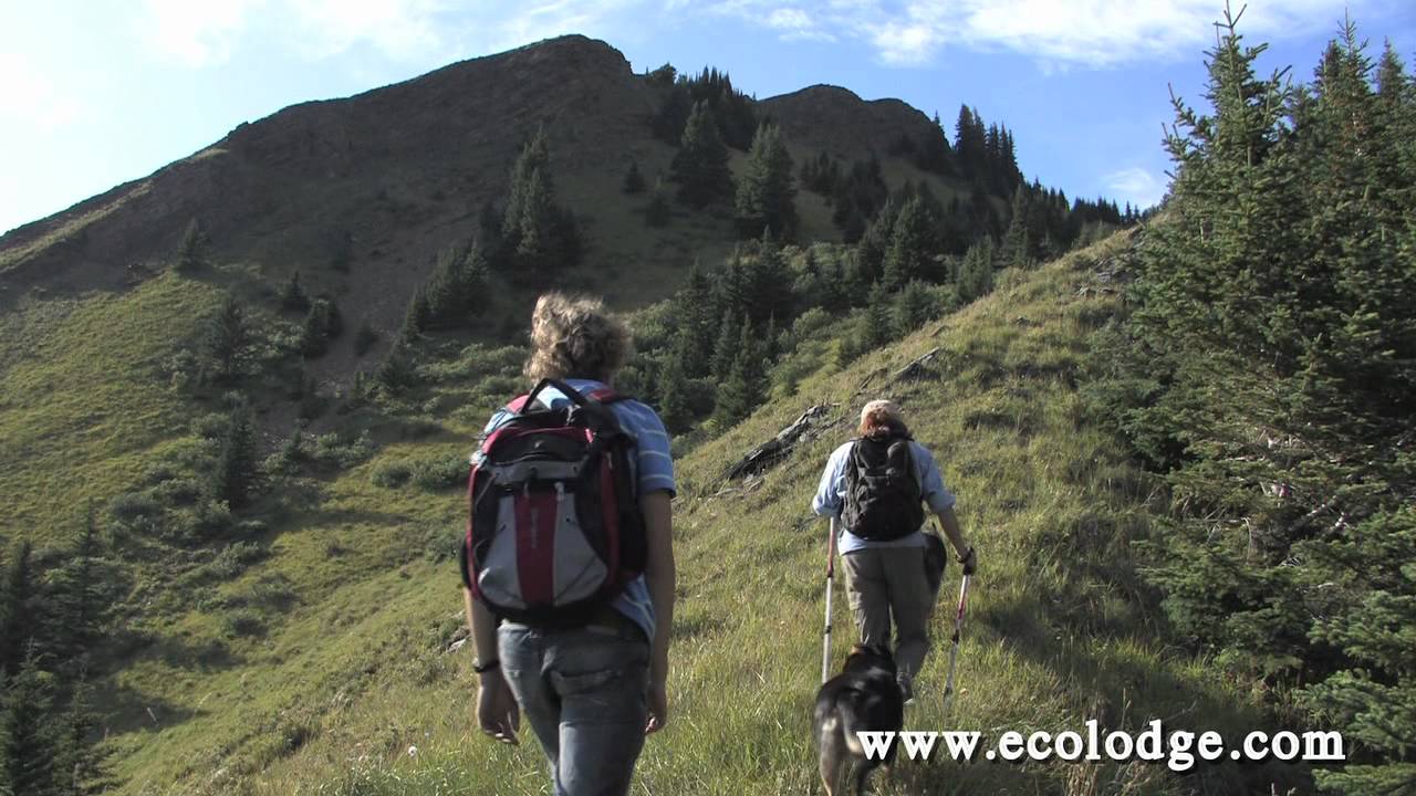 Rocky Mountain Escape