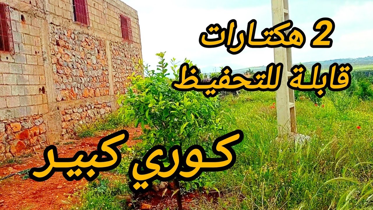 2025/5/3 : أرض ملكية بشهادة إدارية 2 هكتارات، كوري كبير ، الزيتون و لخروب و اشجار مختلطة: 0652902061