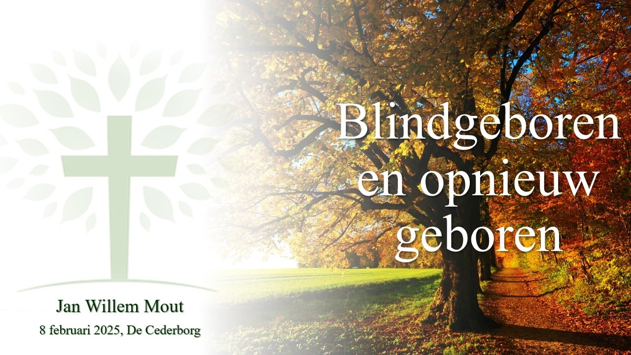 Zondagse dienst - 08/02/2026