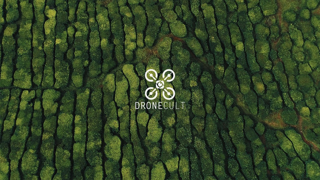 DroneCult : Vertigo 4K (Cameron Highlands Drone)