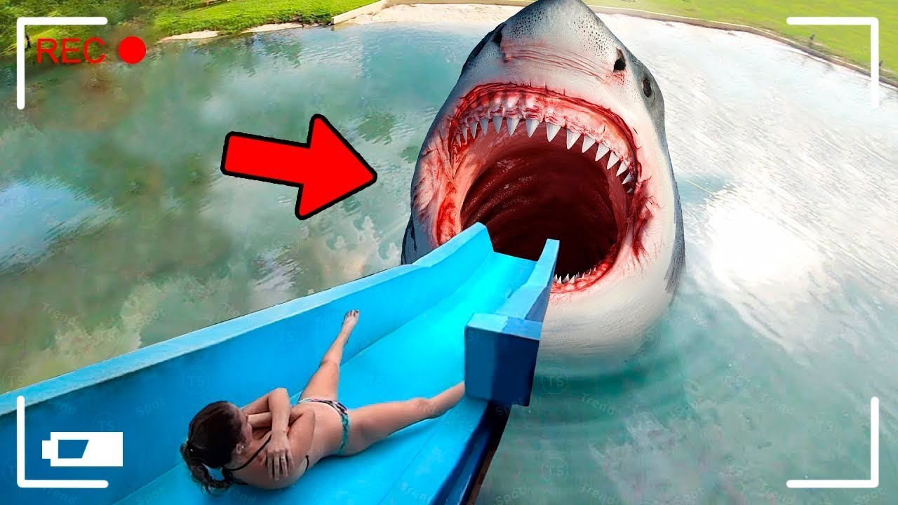 ELA DESCEU NESSE ESCORREGADOR COM TUBARÃO e DEU RUIM...