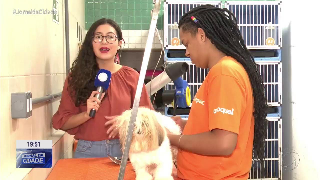 PROGRAMAÇÃO LOCAL