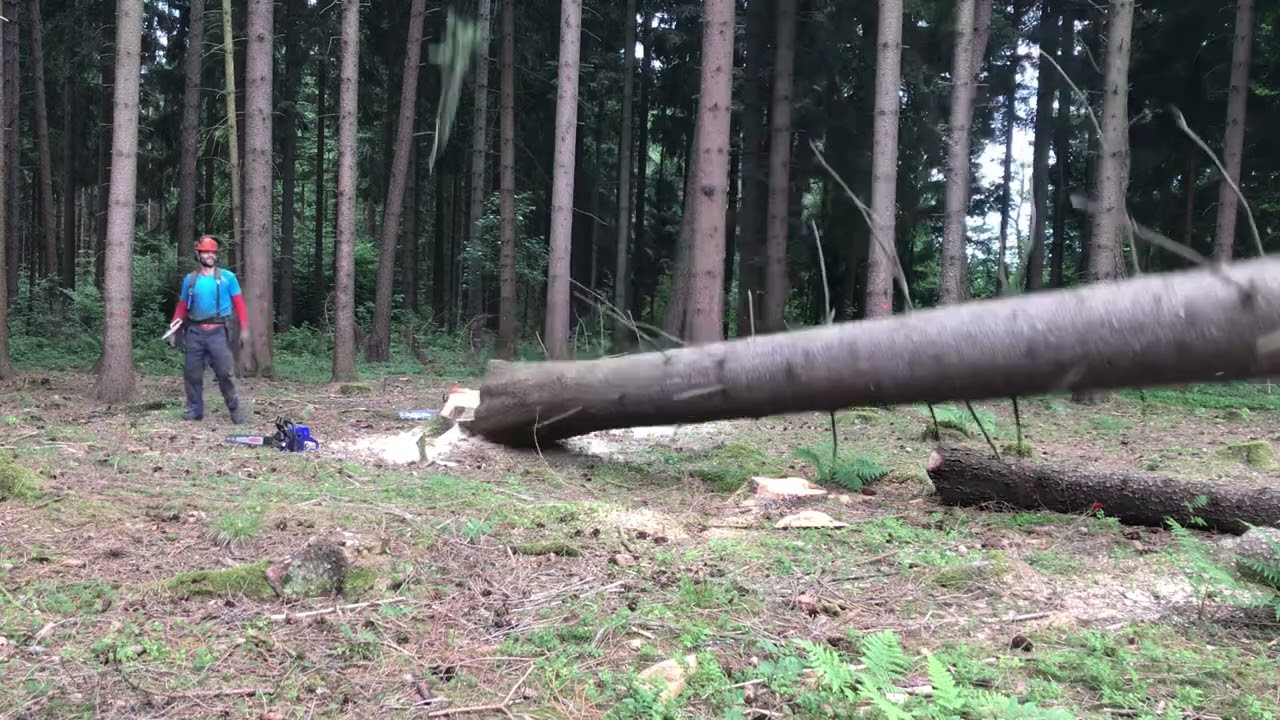 Smrk 4,89m3  - Stihl MS 660