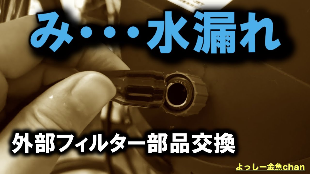 【アクアリウム】外部フィルターから水漏れ（カバー・ダブルタップ交換）