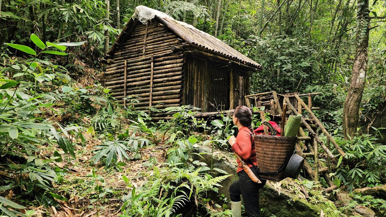 Surviving alone in the deep forest, sheltering in an abandoned hut.