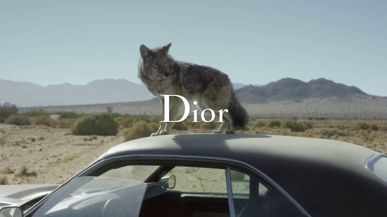 Sauvage da Dior